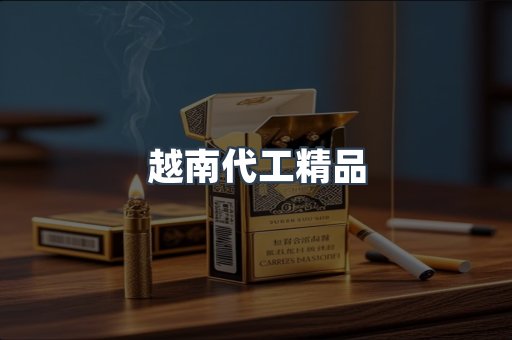 越南代工精品